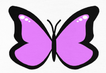 Pink Butterfly Hoodie
